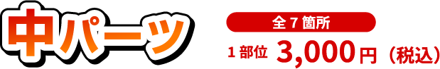 中パーツ