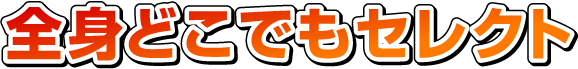 全身どこでもセレクト